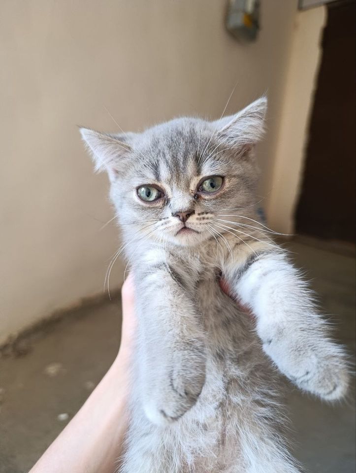 400 000 сум
