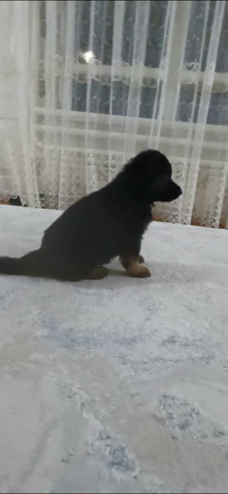 2 000 000 UZS