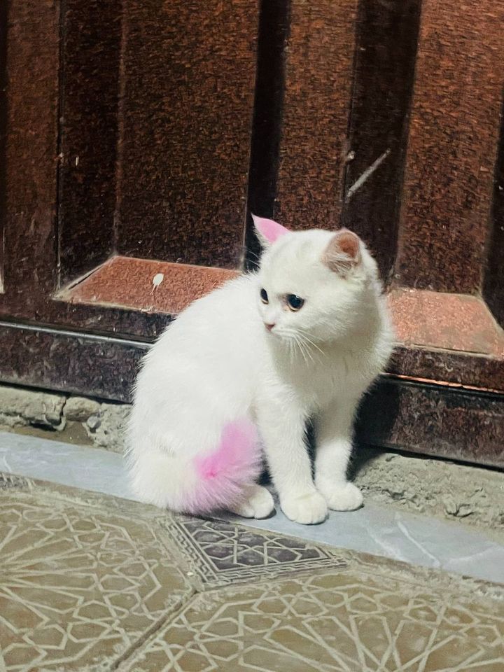 700 000 сум