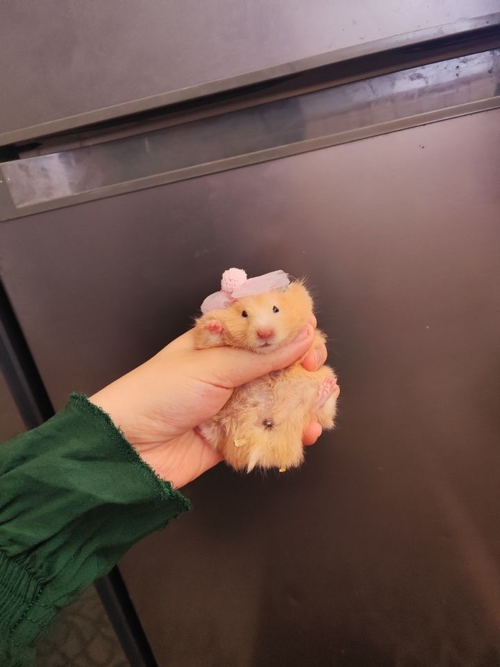 34 000 сум