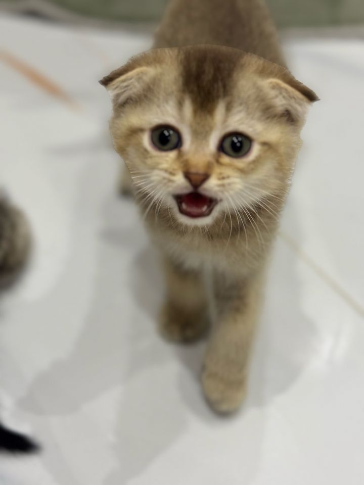 1 000 000 сум