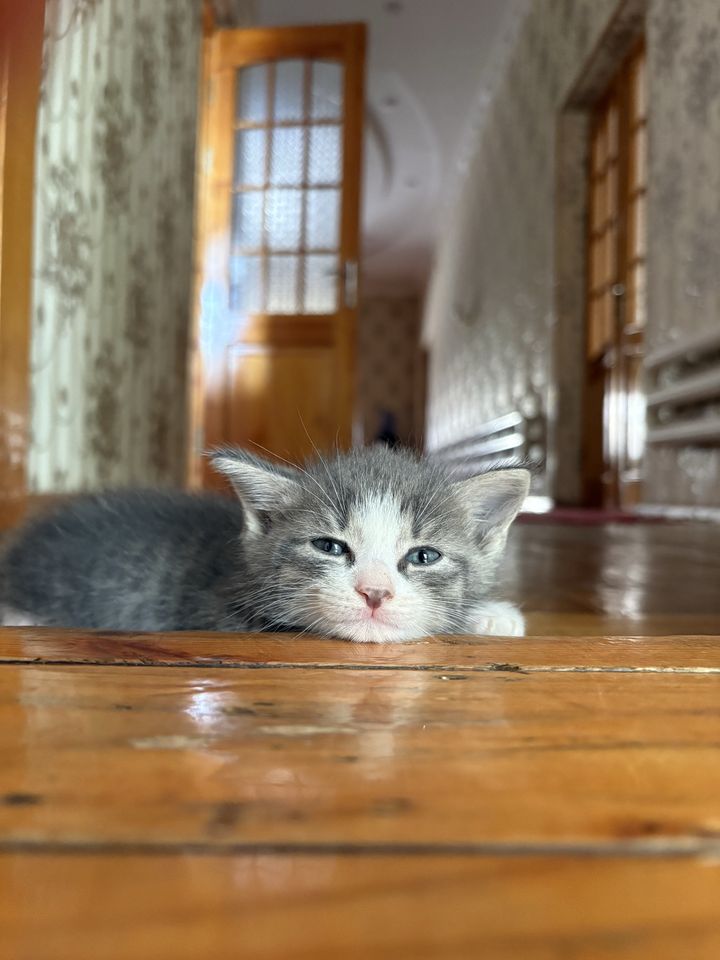 700 000 сум