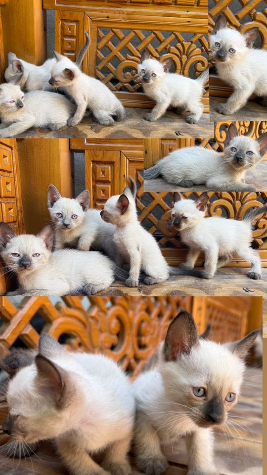 200 000 сум