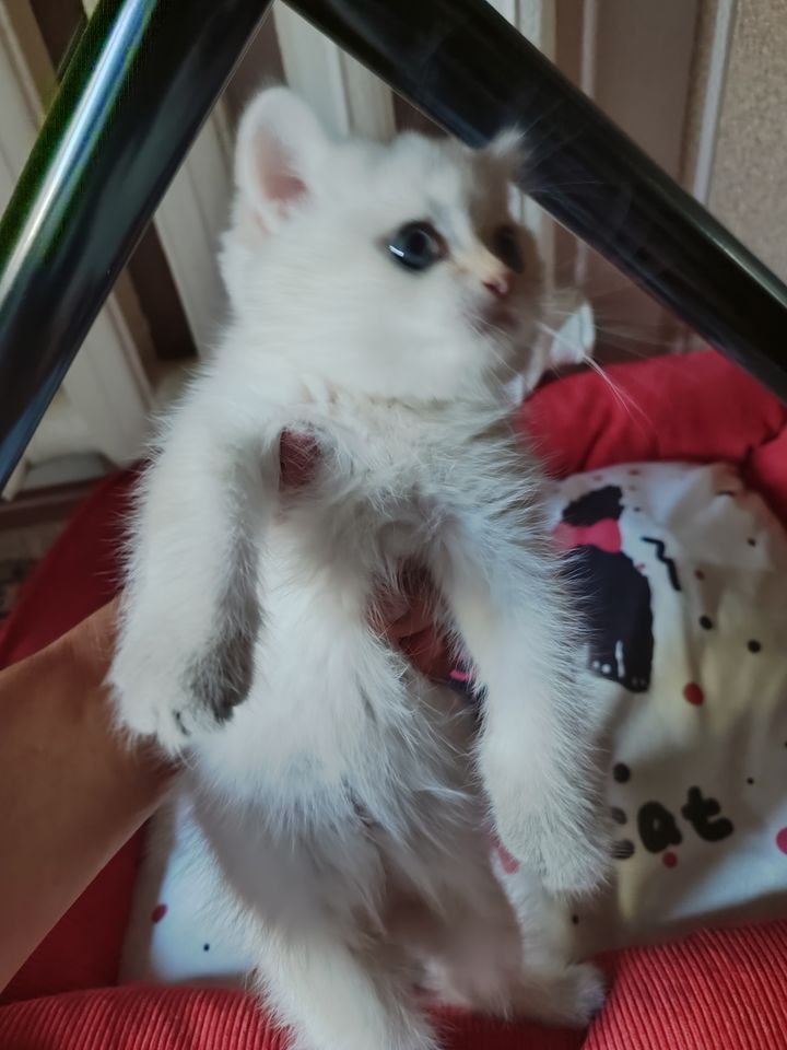 120 USD