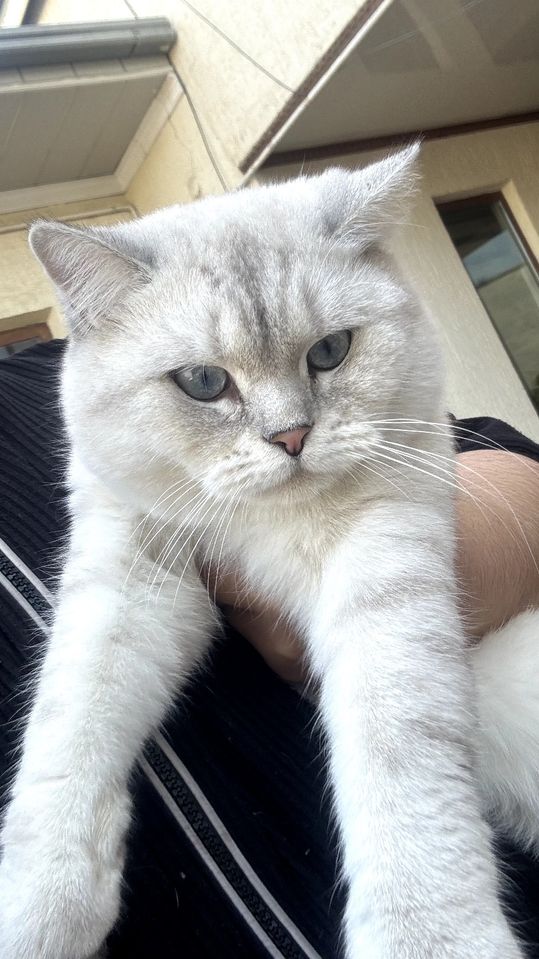 1 200 000 сум