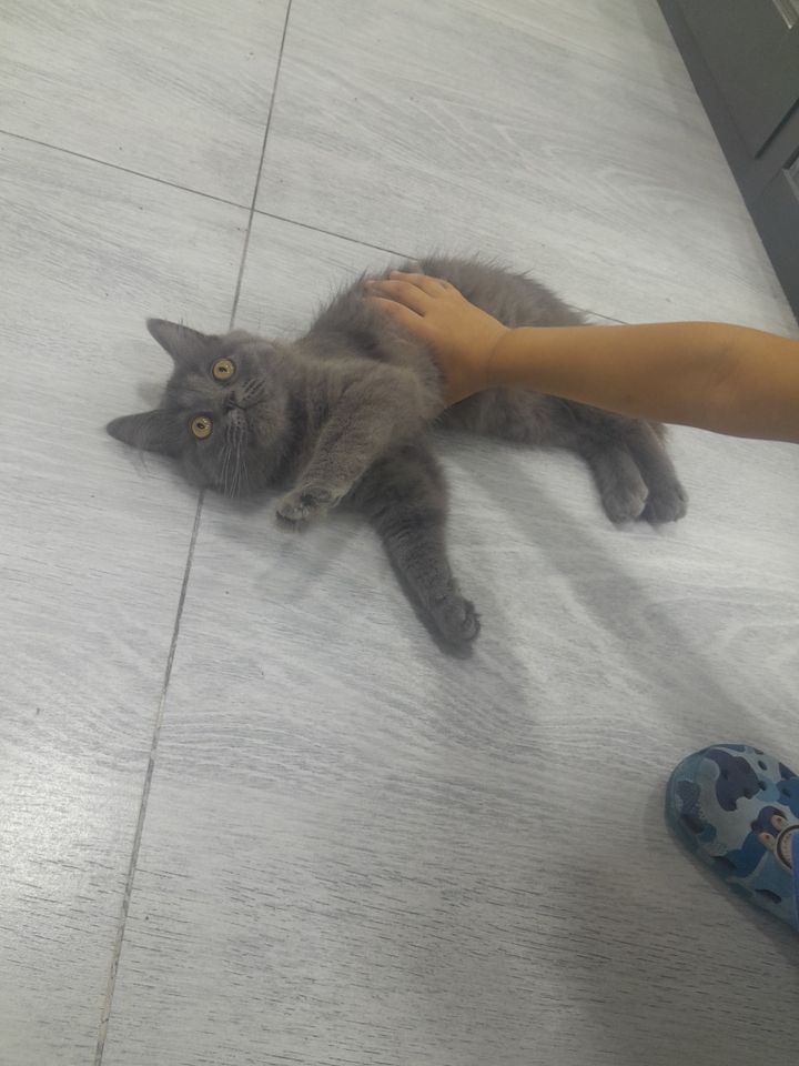 500 000 сум