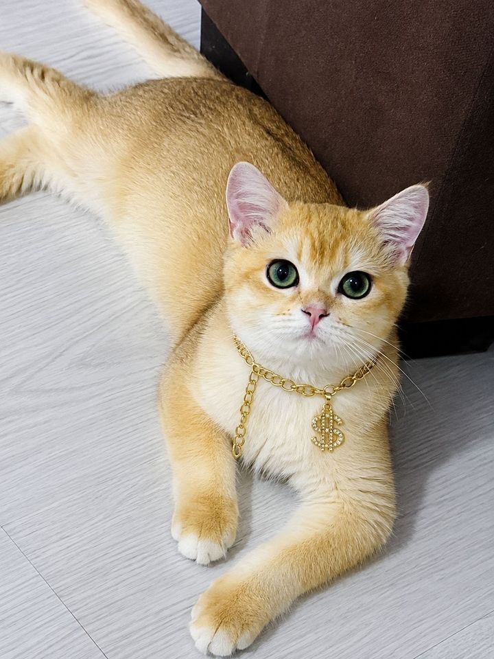 200 USD