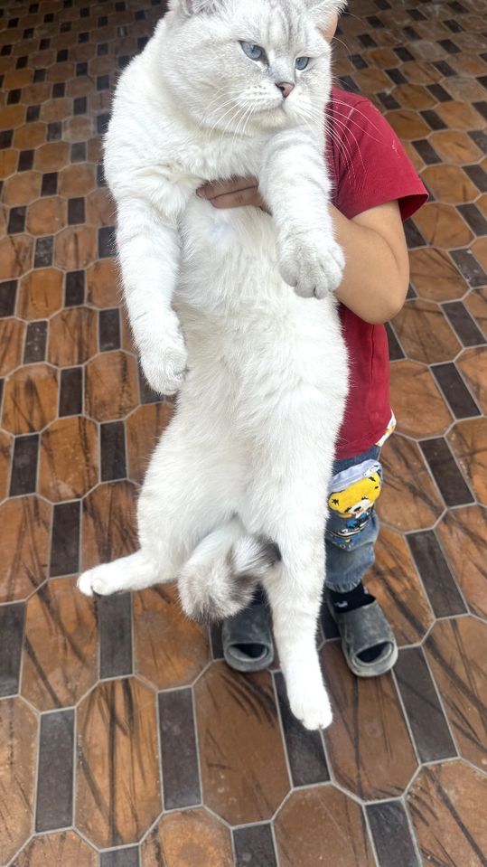 1 200 000 сум