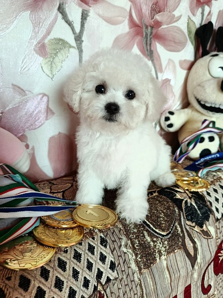 400 USD