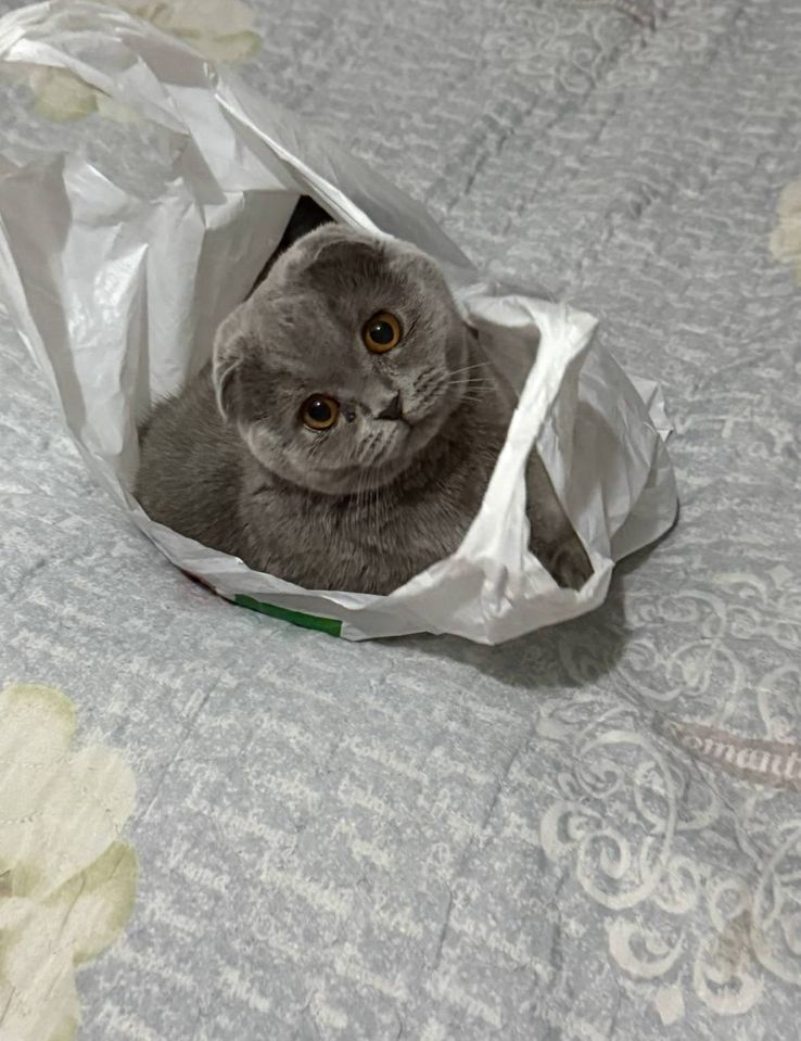 650 000 сум