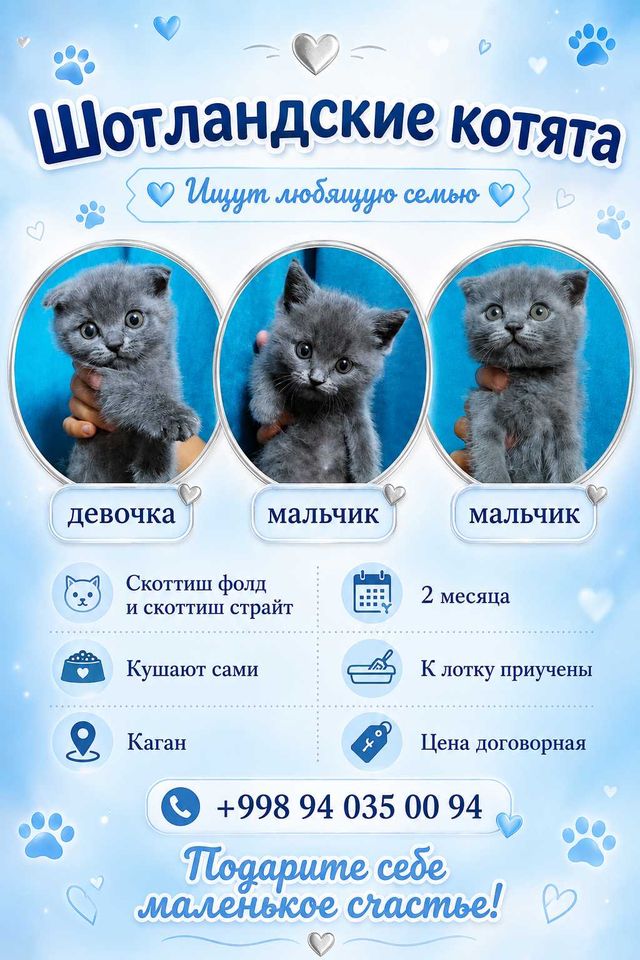 800 000 UZS