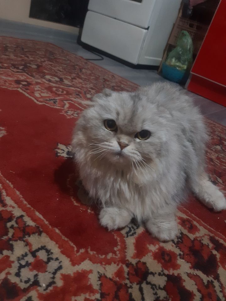 600 000 сум