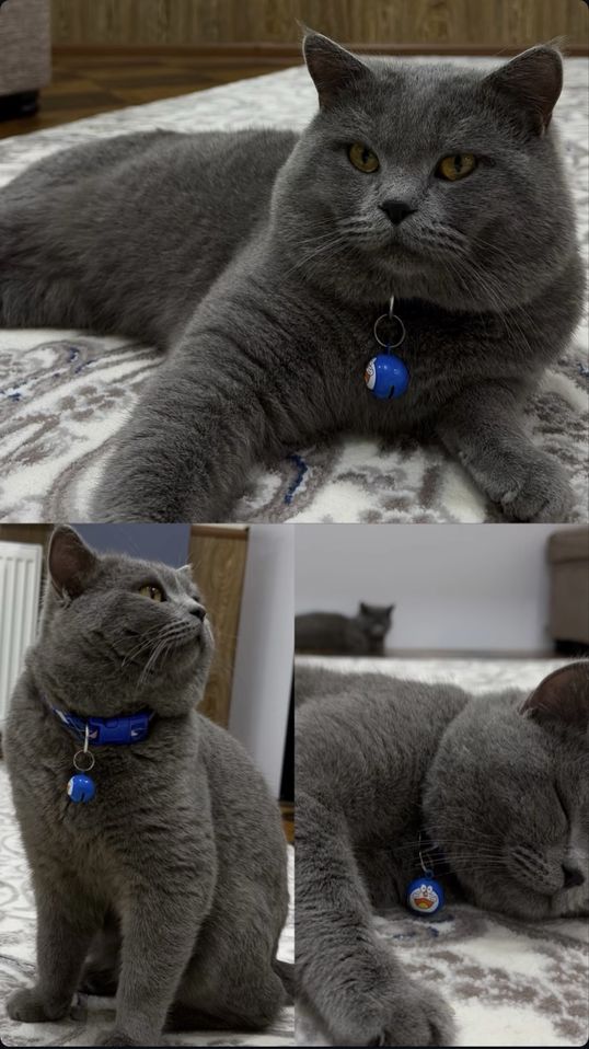 1 100 000 сум