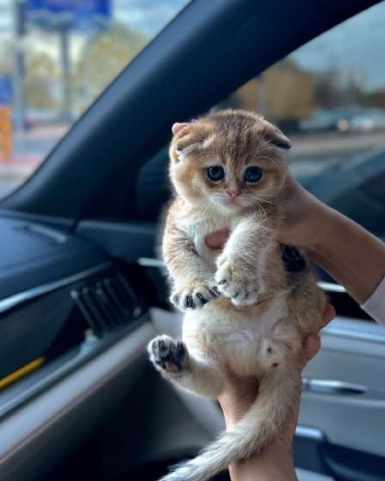 400 000 сум