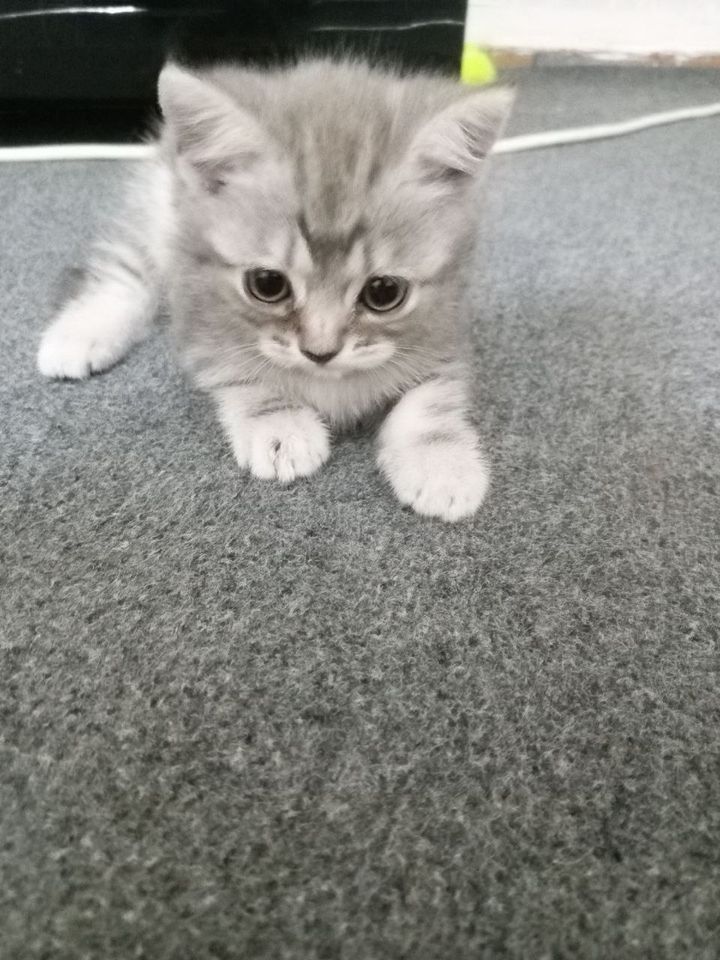 500 000 сум