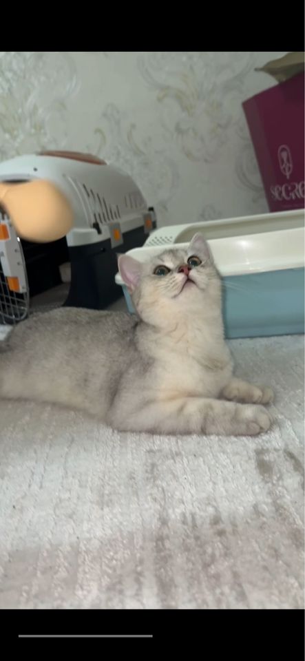 150 USD