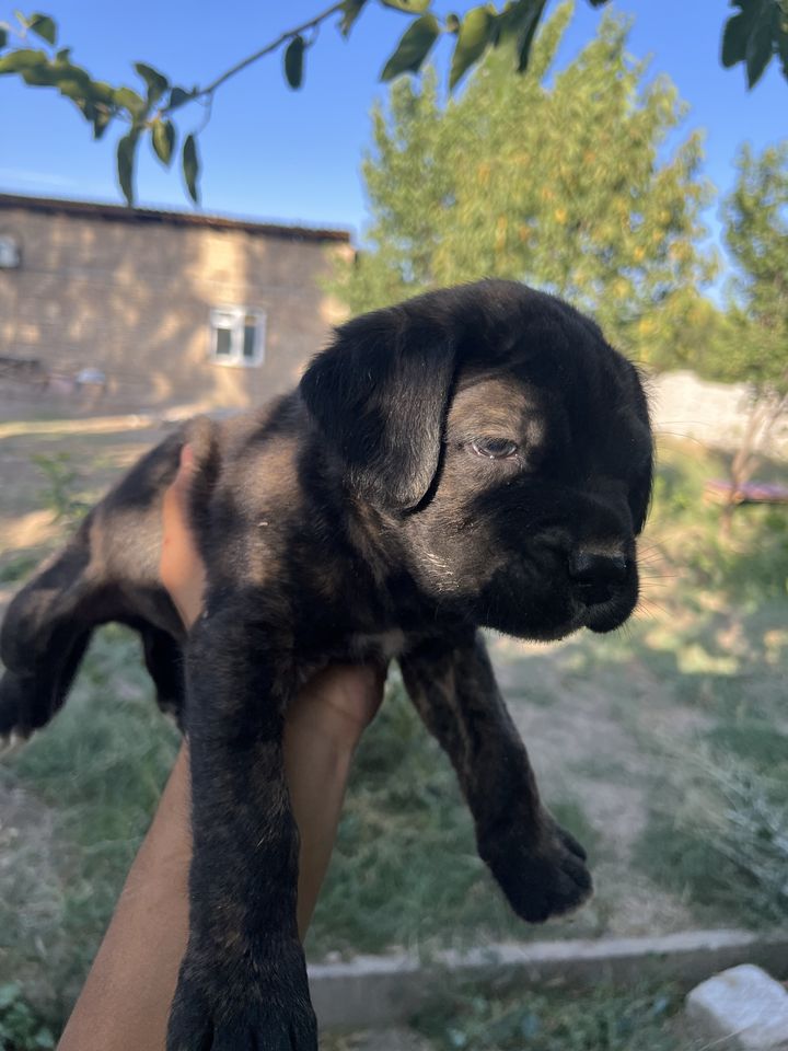 330 USD