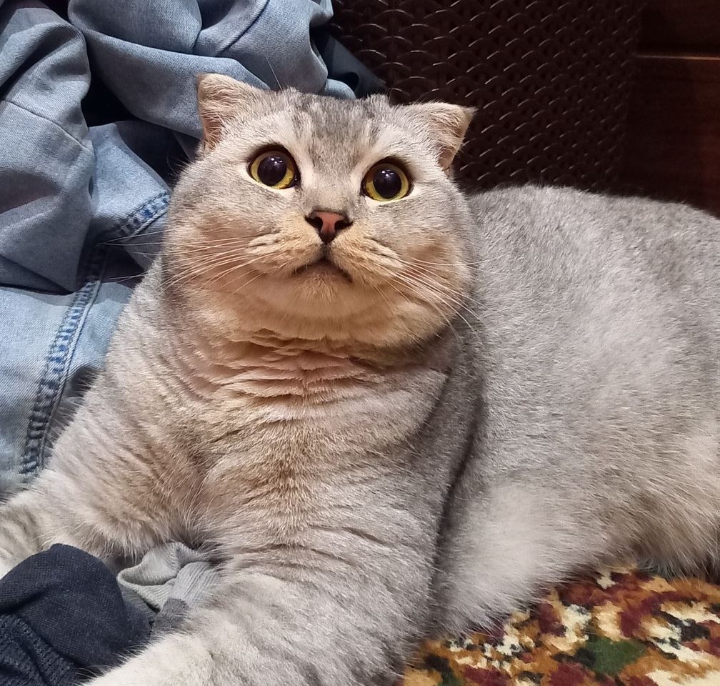 300 000 сум