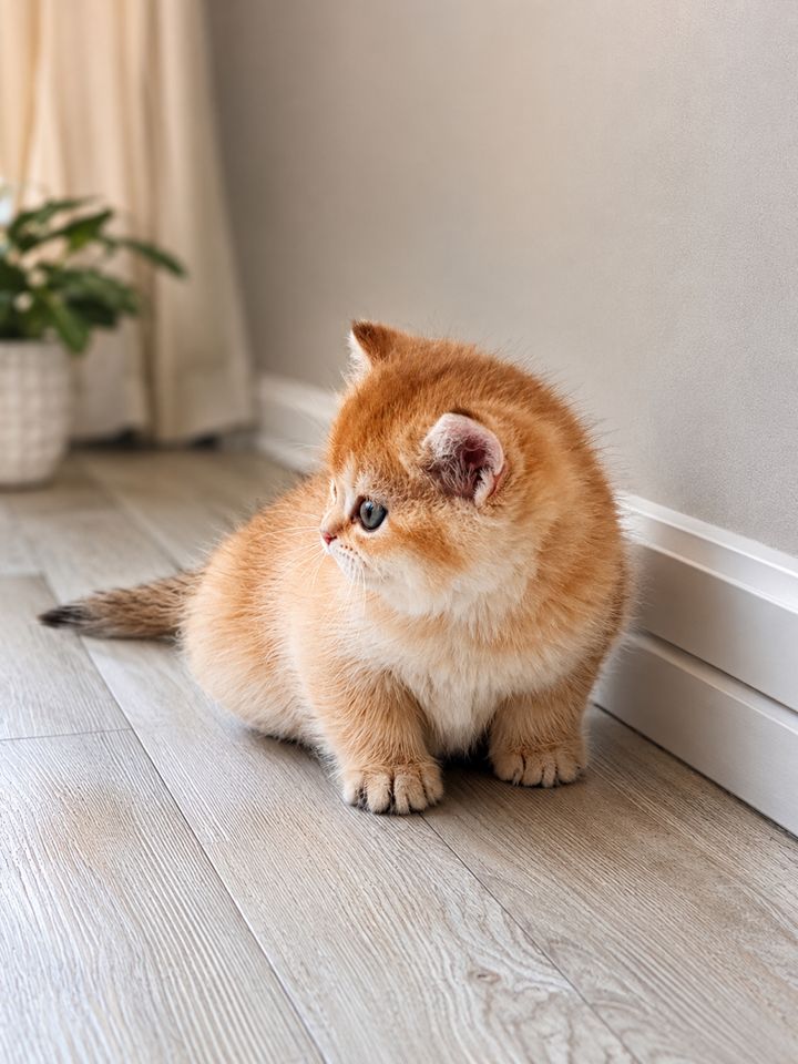 150 USD