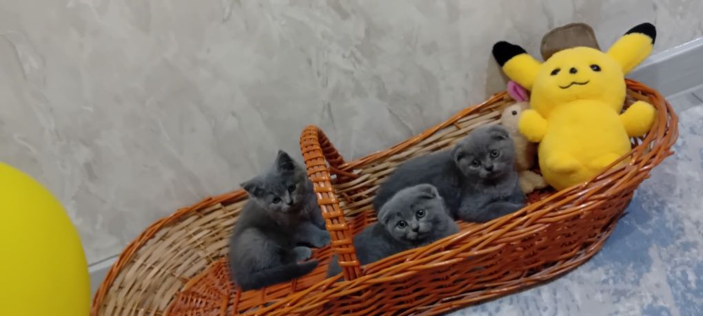 1 200 000 сум