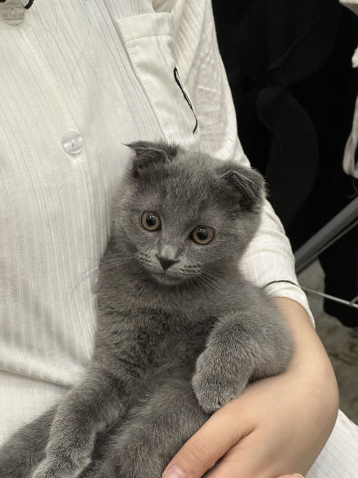 800 000 сум