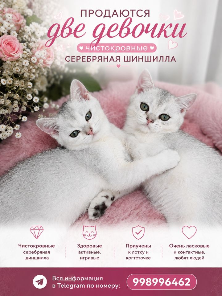 1 000 000 сум