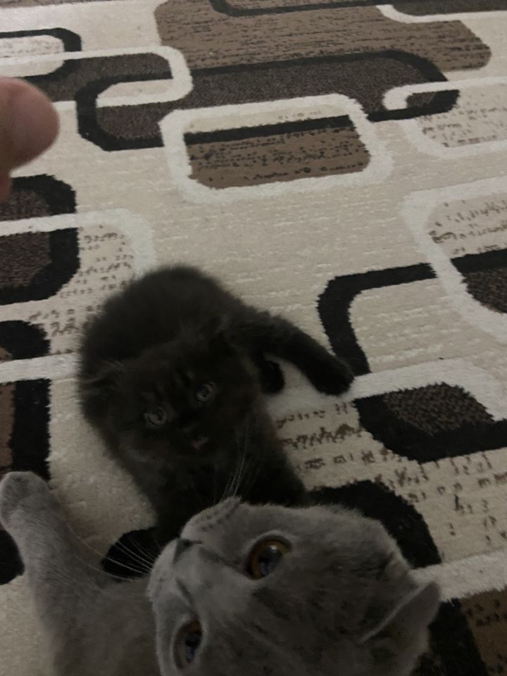 25 USD