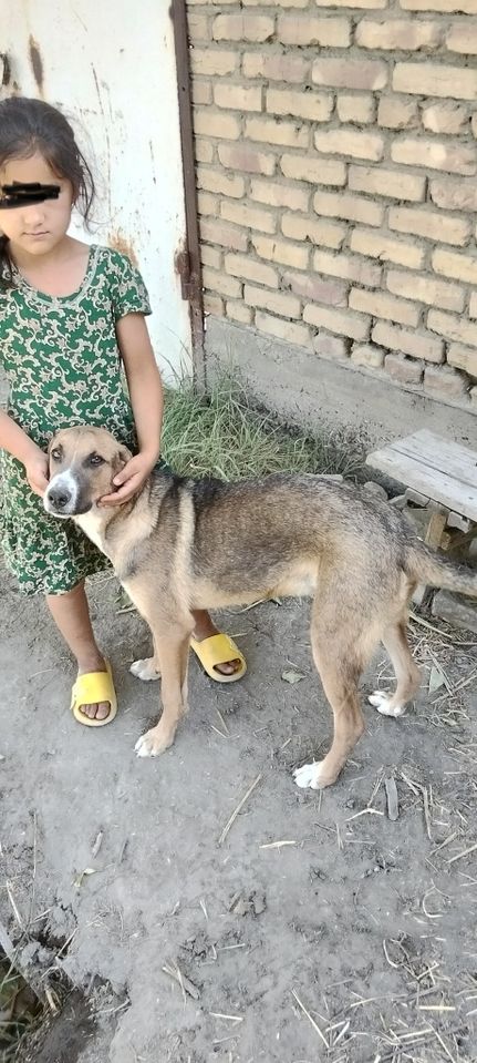 100 000 сум