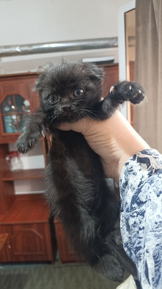 500 000 сум