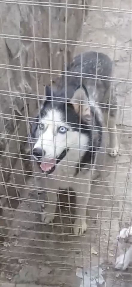 500 000 сум