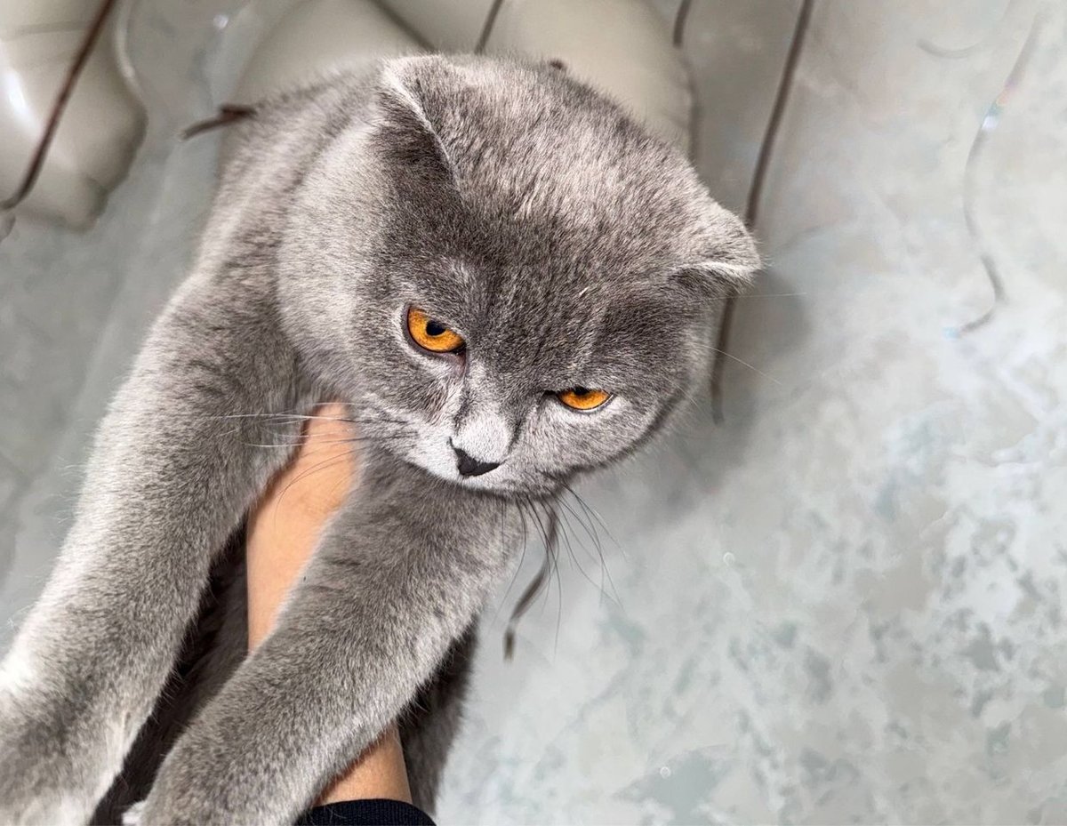 1 000 000 сум