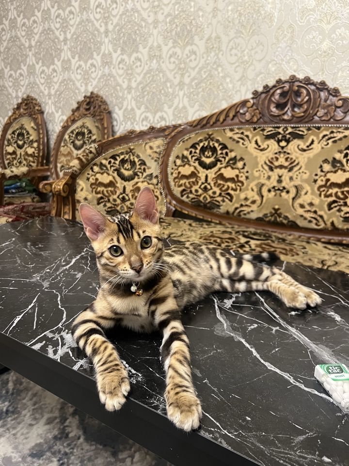 6 000 000 сум