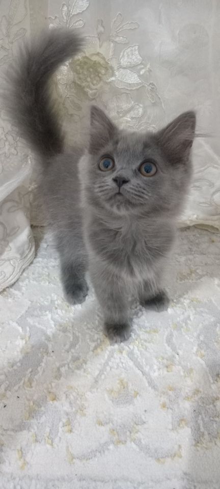 1 100 000 сум