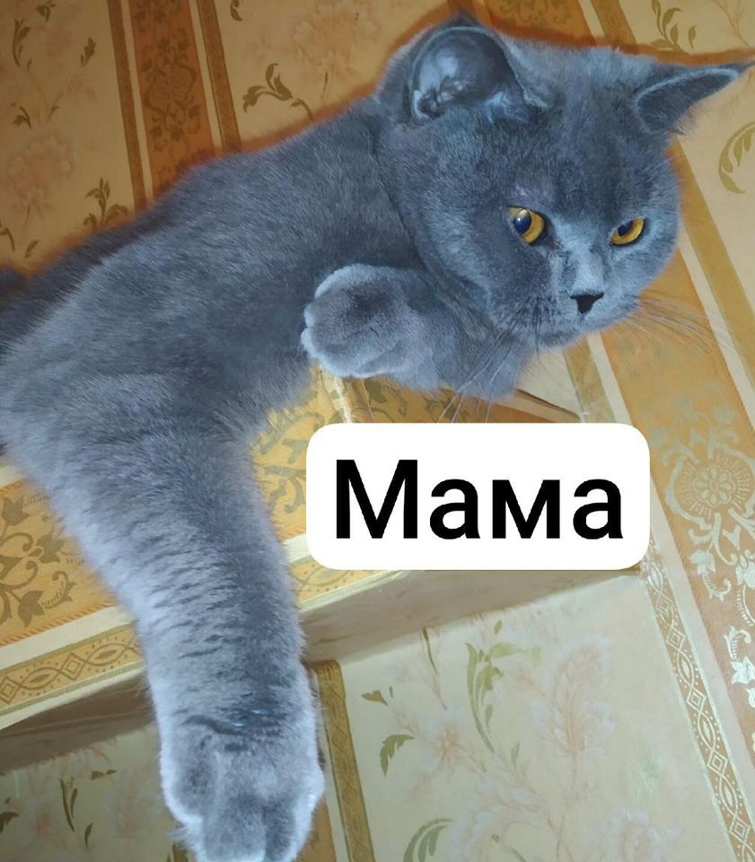 500 000 сум