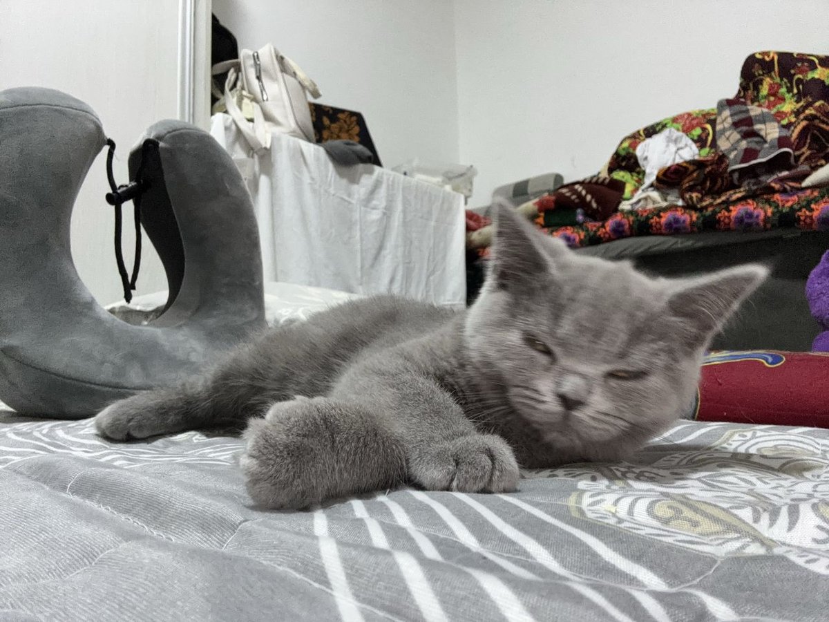 700 000 сум