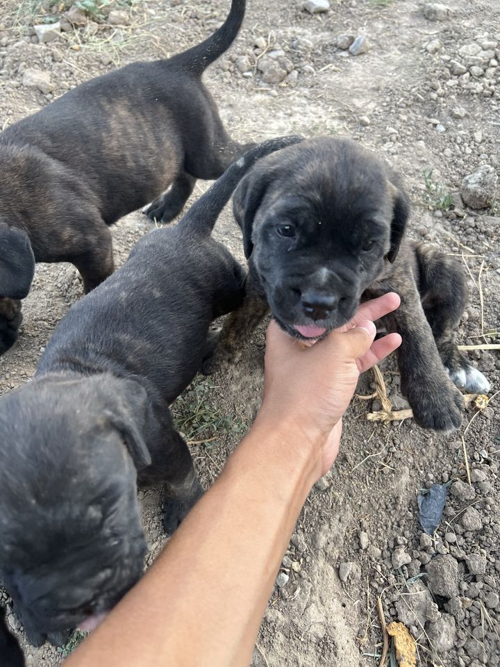 330 USD