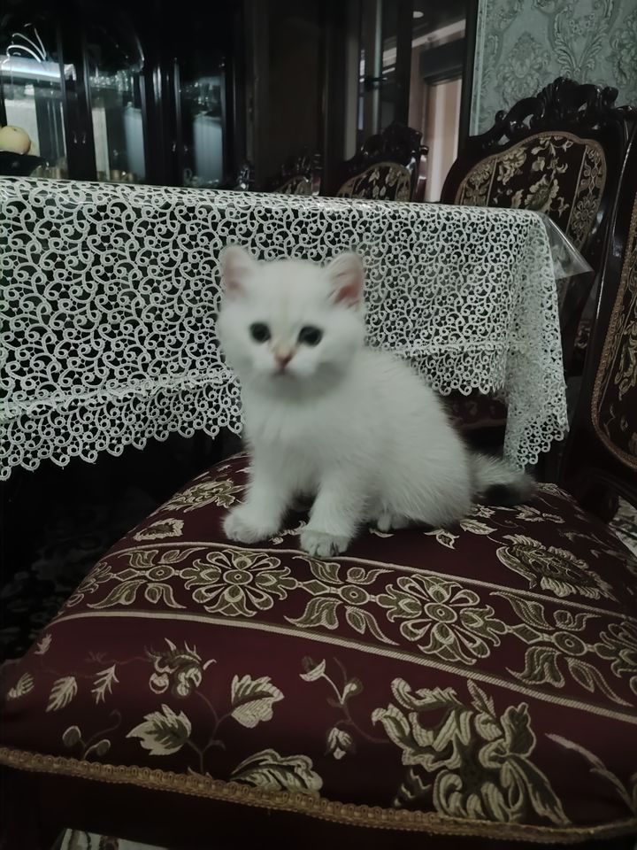 120 USD