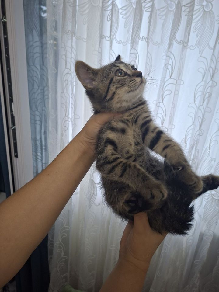 1 000 000 сум