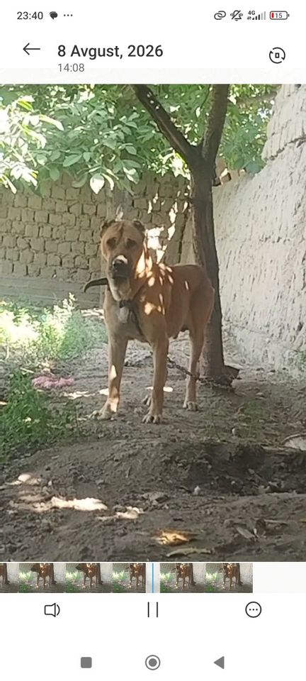 100 USD