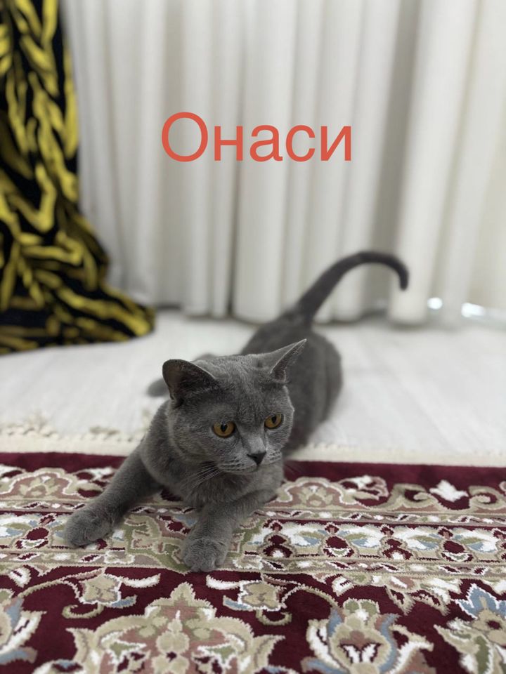 1 000 000 UZS
