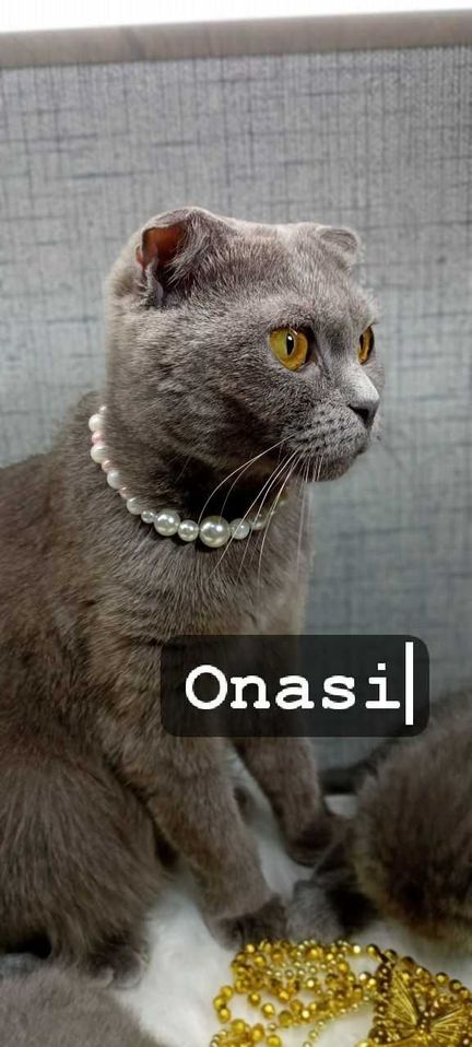 400 000 UZS