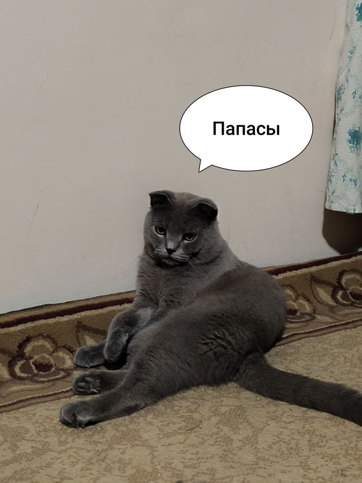 399 000 UZS