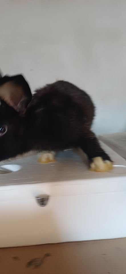 100 000 so'm