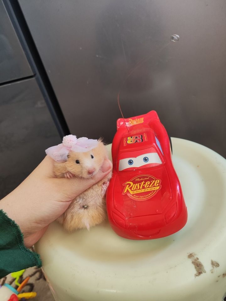 34 000 сум
