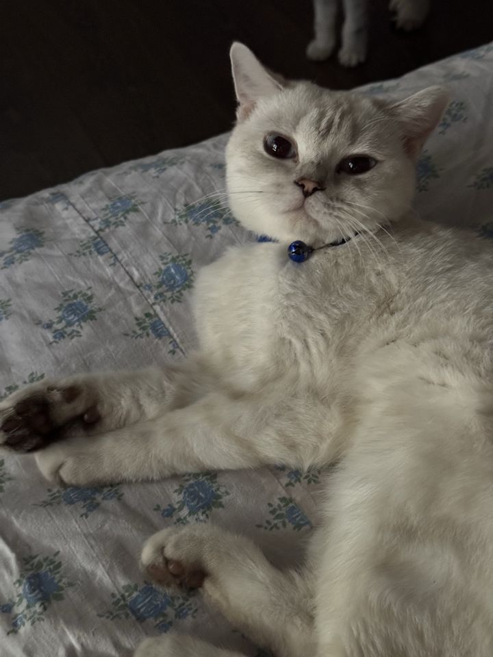 600 000 сум