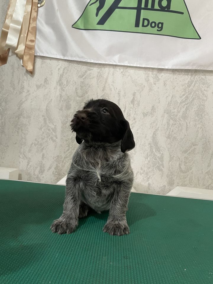 400 USD