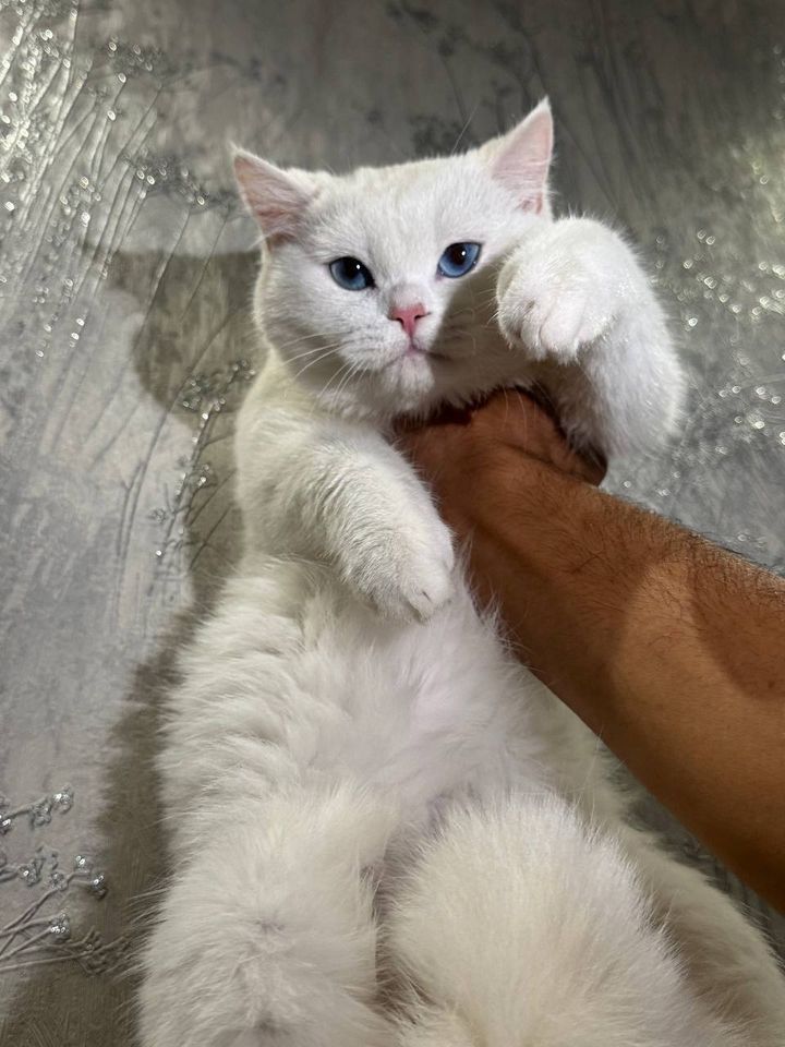 350 USD