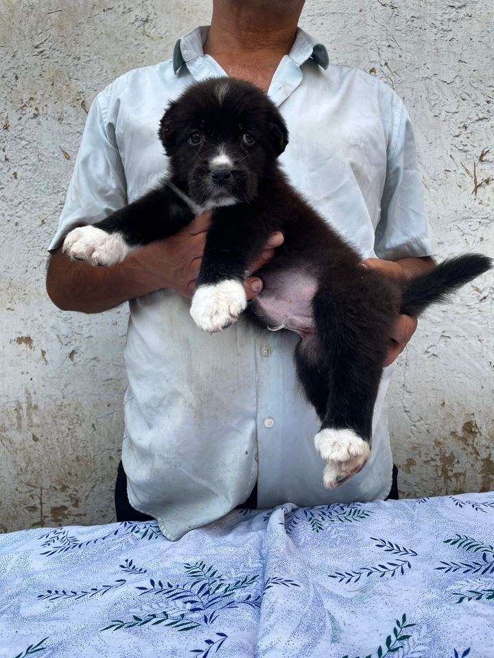 750 000 сум