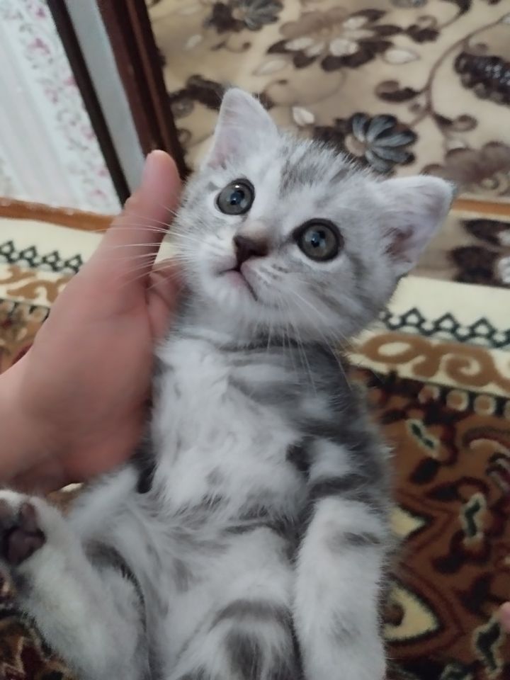 1 000 000 UZS
