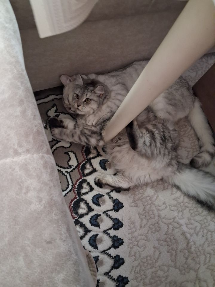 400 000 сум